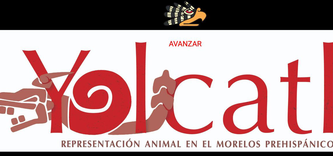 Yolcatl, representación animal en el Morelos prehispánico