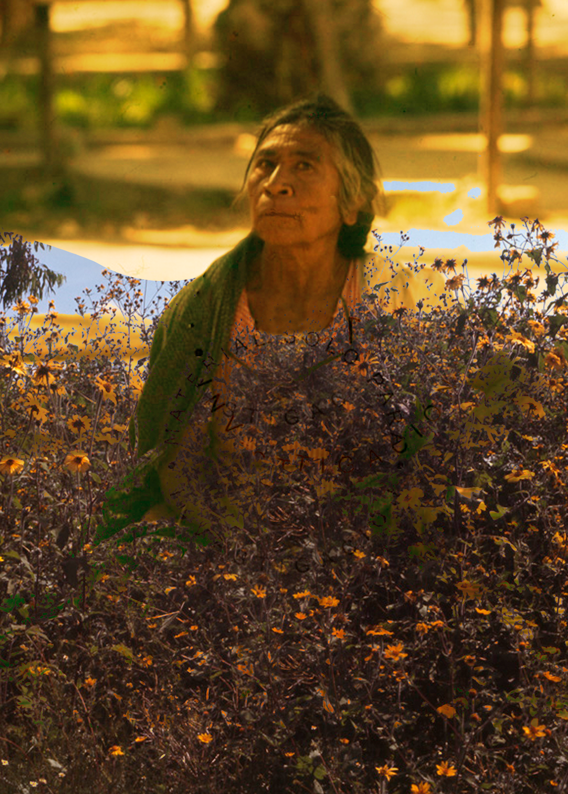 Colección Carmen Cook