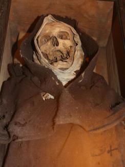 momia_5-Thumbnail Image.jpg