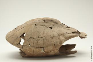 objetoprehispanico_17085-Thumbnail Image.jpg