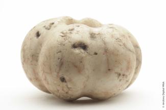 objetoprehispanico_22584-Thumbnail Image.jpg