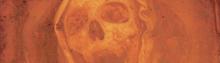 fondo_62-Thumbnail Image.jpg