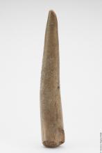 objetoprehispanico_19115-Thumbnail Image.jpg