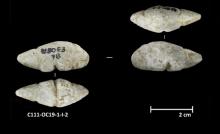 foted_c111_1_i_2-Thumbnail Image.jpg