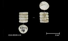 foted_c111_1_i_5-Thumbnail Image.jpg